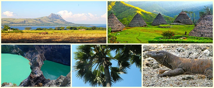 Komodo und Flores Reise